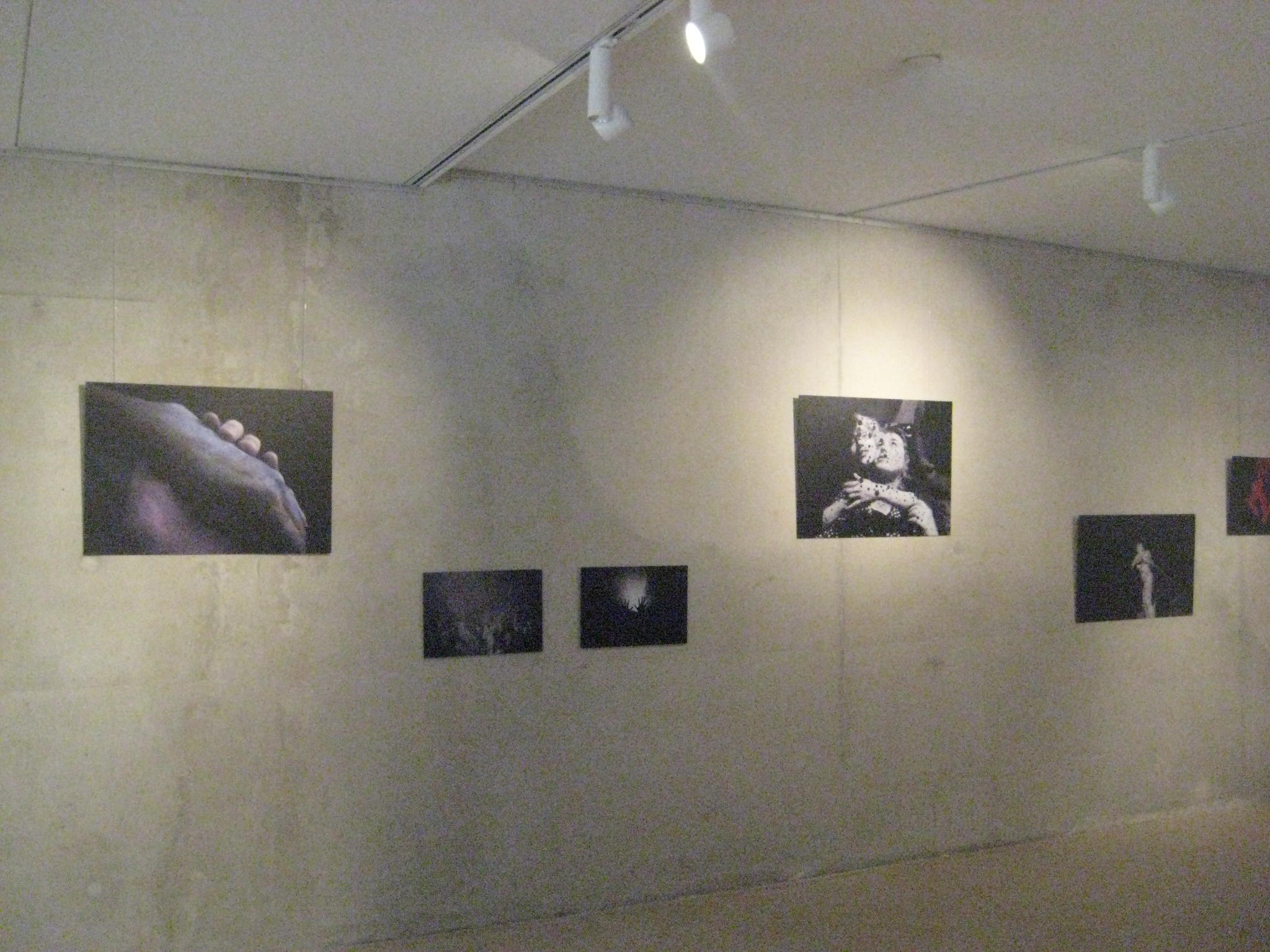 photo de l'exposition, Irwin Barbé